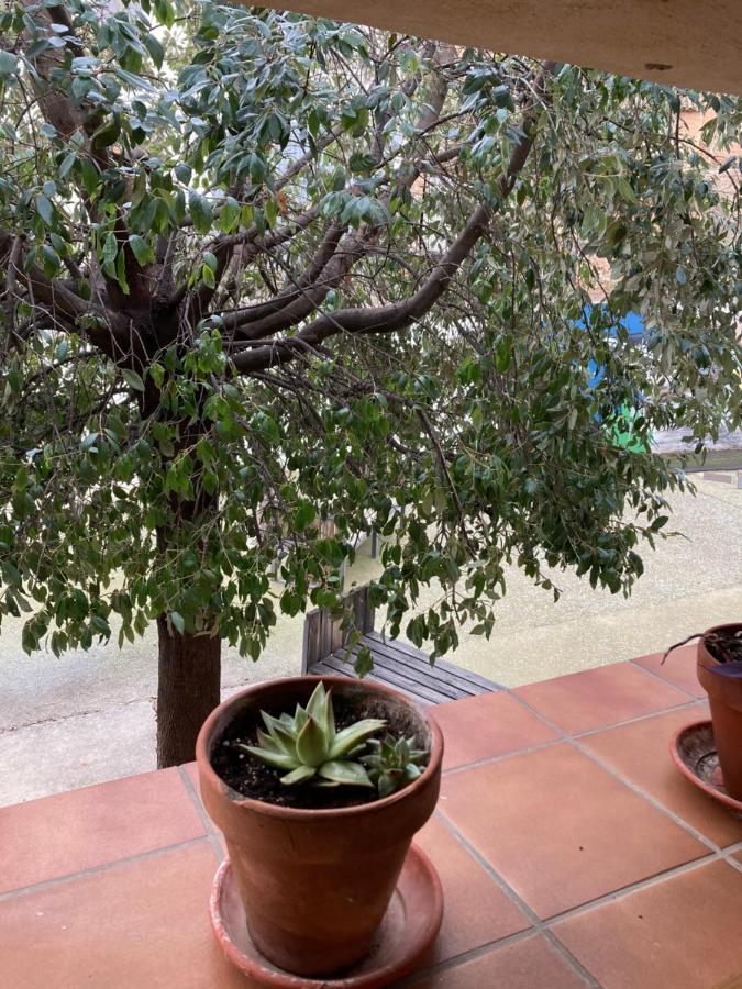 Casa Rural Hospital De Las Palabras Torrelles Εξωτερικό φωτογραφία